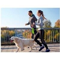 Dog Leash And Collar Refectant Pack