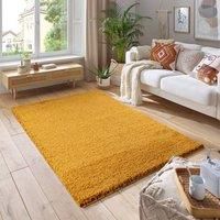 Soft Fluffy 5cm Thick Pile Shaggy Area Rugs for Living Room, Bedroom