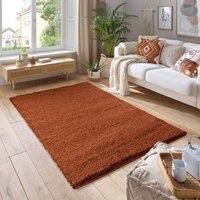 Soft Fluffy 5cm Thick Pile Shaggy Area Rugs for Living Room, Bedroom