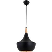 Avonni AV-4106-A7-BSY pendant light unconventional shape