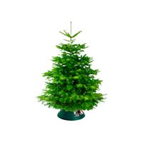Elho Oslo 38cm Indoor Christmas Tree Stand - Green