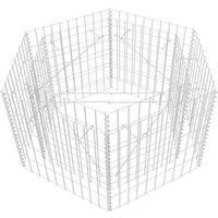 Vidaxl Hexagonal Gabion Raised Bed 100X90X50 cm