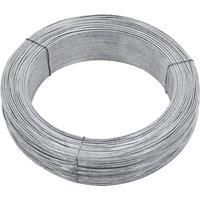 Fence Binding Wire 250 m 2 mm Steel
