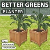 vidaXL Wooden Planter 30 x 30 x 30 cm Set of 2