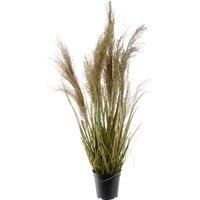 Kaemignk 65cm Natural Plume Artificial Grass
