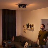 Philips Hue Buckram 4-bulb dimmer switch black