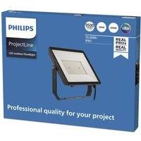 Philips ProjectLine Floodlight spot 4000 K 100 W