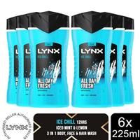 Lynx Shower Gel Ice Chill, 225ml