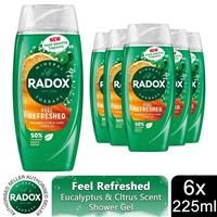 Radox Mineral Therapy Feel Refreshed Shower Gel with Eucalyptus & Citrus Scent- 225ml (Pack of 6)