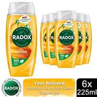 Radox Feel Revived Mood Boosting Shower Gel 225ml