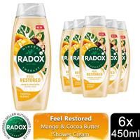 Radox Mineral Therapy Feel Restored Shower Cream with Cocoa Butter 450ml, 6 Pack