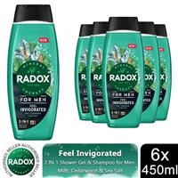 6x Radox Mineral Therapy Feel Invigorated Shower Gel & Shampoo for Men, 450ml