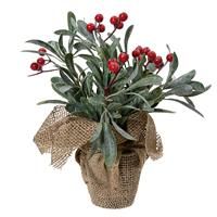 Kaemingk Potted Berry Plant
