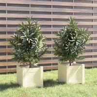 1/2x Solid Pinewood Garden Planter Outdoor Flower Box Pot Patio Planter vidaXL