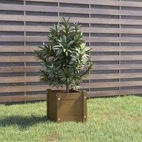 vidaXL Honey Brown Square Planter Box- Solid Pinewood Garden Decor, plants and flowers, Easy-to-Assemble, Comes with Drain