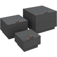 3x Solid Wood Pine Storage Boxes with Lids Tool Chest Multi Colours vidaXL