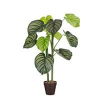 Edelman Caladium Artificial Potted Plant