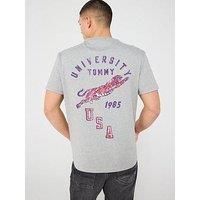 Tommy Jeans Regular Fit University Tiger Back Graphic T-Shirt - Grey