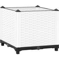 Raised Bed 40x40x38 cm Polypropylene