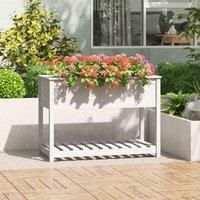 Solid Wood Pine Planter with Shelf Plant Raised Bed Multi Colours/Sizes vidaXL