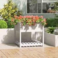 Solid Wood Pine Planter with Shelf Plant Raised Bed Multi Colours/Sizes vidaXL