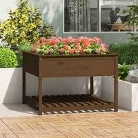vidaXL Solid Pine Wood Planter with Shelf and Ergonomic Design, Ample Planting Space Ideal for Home Gardening, Honey Brown - Easy Assembly