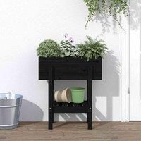 Garden Planter Flower Box Garden Pot Wooden Plant Pot Solid Wood Pine vidaXL