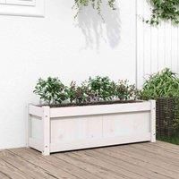 Garden Planters 2 pcs White Solid Wood Pine vidaXL