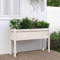 Garden Planters 2 pcs with Legs Impregnated Wood Pine vidaXL