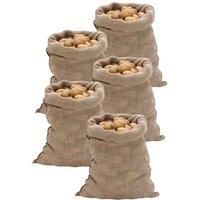 "vidaXL Burlap Hessian Jute Sacks, 5-Piece, 100% Natural Jute, Multipurpose for Food Storage & Plant Protection, 220 gsm, Lightweight & Foldable, Brown, 60x105 cm"