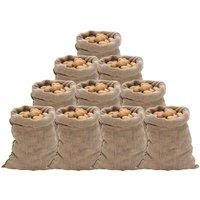 Vidaxl Jute Sacks 10 Pcs 60X105 Cm 100 Jute 220 Gsm