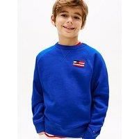 Tommy Hilfiger Boys Flag Relaxed Sweatshirt - Blue