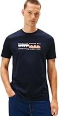 Tommy Hilfiger Men’s Short Sleeve Round Neck Colour Block Graphic T-Shirt, Blue (Desert Sky), M