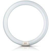 Philips G10q 22W 840 fluorescent ring Master Circular TL-E