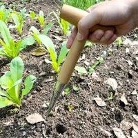 Hand Sow Dibbler With Wood Handle For Sowing Seeds Transplanting Plants Planting Bulbs Digging