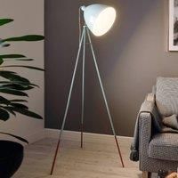 EGLO Floor Lamp, Steel, E27, 60 W, Mint