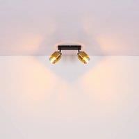 Globo Milley downlight, 2-bulb