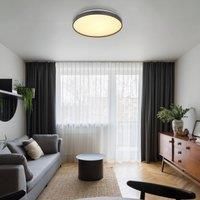 Globo Ceiling Light LED Bedroom Lamp Anthracite Opal Hallway Lamp Diameter 48 cm