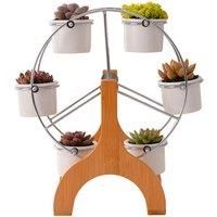 Decorative Indoor Ferris Wheel Of 6 Succulent Plant Pots!