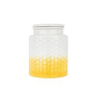 Captivate Kitchen Pantry Small Storage Canister - Yellow