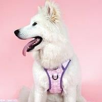 Pink Flowers Adjustable Dog Harness