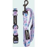 Tiny Diny Dog Collar and Lead Set