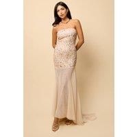 Little Mistress Women's Nude Mesh Train Embellished Maxi Dress | Size: 12