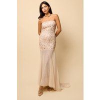 Little Mistress Women's Nude Mesh Train Embellished Maxi Dress | Size: 16
