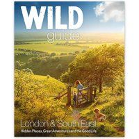 Wild Guide London and South East England: Norfolk to New Forest, Cotswold to Kent & Sussex: Norfolk to New Forest, Cotswolds to Kent (Including London): 2 (Wild Guides)
